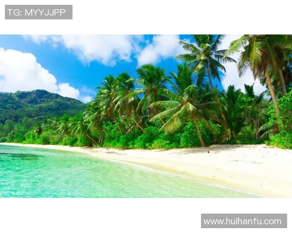 足球明星高清绿色壁纸精选展现运动魅力与自然和谐之美